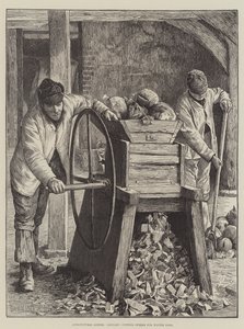 Agricultural Scenes, January, cutting Swedes for Winter Food by Gunning King